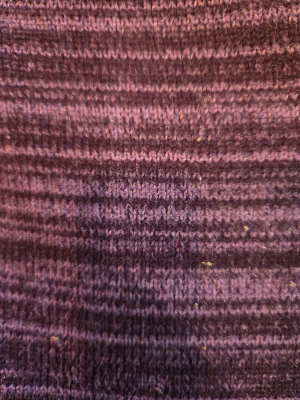 The North Face Kids Purple Striped Knit Jacket